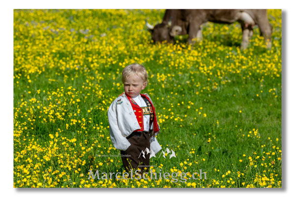 Marcel Schiegg Fotografie, Tradition, Brauchtum, Alpfahrt, Oeberefahre