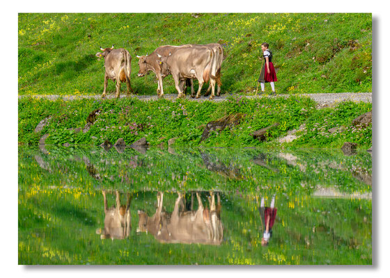 Marcel Schiegg Fotografie, Seealpsee, Alpstein, Tradition, Brauchtum, Alpfahrt, Oeberefahre, Appenzell
