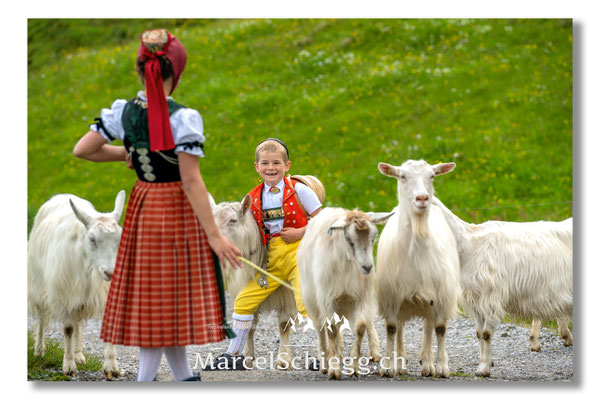 Marcel Schiegg Fotografie, Tradition, Brauchtum, Alpfahrt, Oeberefahre, Appenzell, Appenzellerland, Öberefahre, Alpstein
