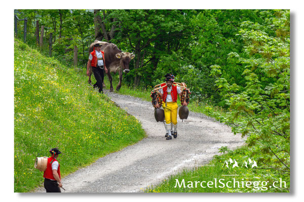 Marcel Schiegg Fotografie, Alpstein, Seealp, Tradition, Brauchtum, Alpfahrt, Oeberefahre, Appenzell