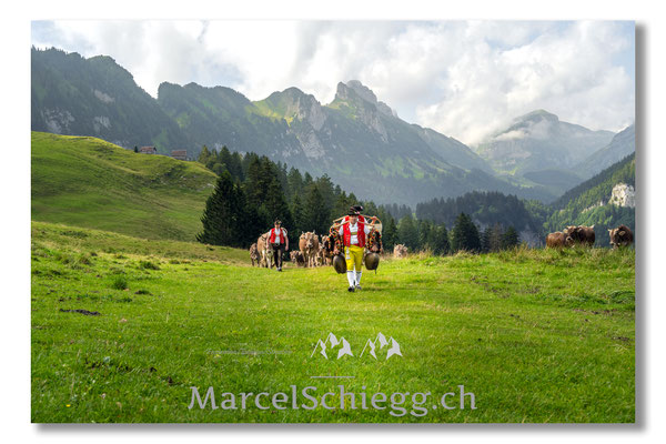 Marcel Schiegg Fotografie, Tradition, Brauchtum, Alpfahrt, Oeberefahre, Appenzell, Appenzellerland, Öberefahre, Alpstein