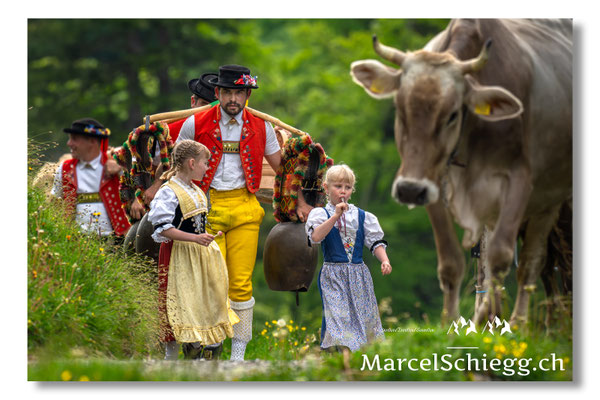 Marcel Schiegg Fotografie, Seealp, Alpstein, Tradition, Brauchtum, Alpfahrt, Oeberefahre, Appenzell, Senntumschellen