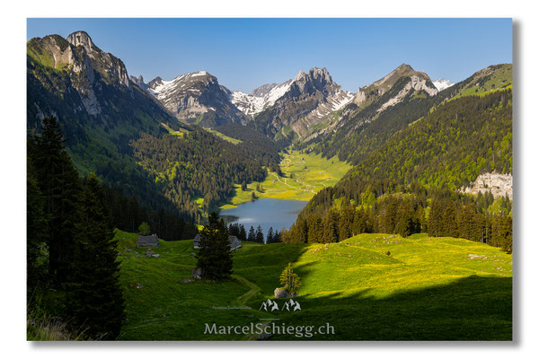 Sämtisersee Art.-Nr. MZ7-6517