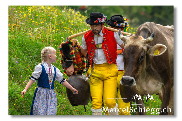 Marcel Schiegg Fotografie, Seealp, Alpstein, Tradition, Brauchtum, Alpfahrt, Oeberefahre, Appenzell, Senntumschellen