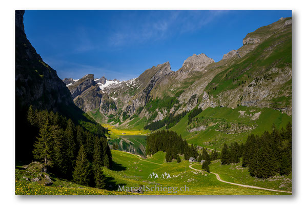 Seealpsee Art.-Nr. MS8-9475-Mai