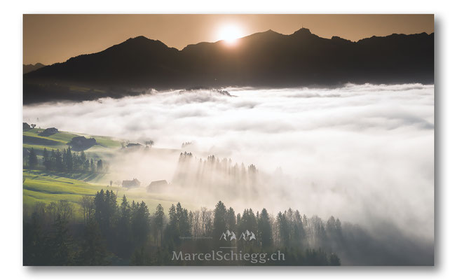 Appenzellerland Art.-Nr. MS8-3777-November