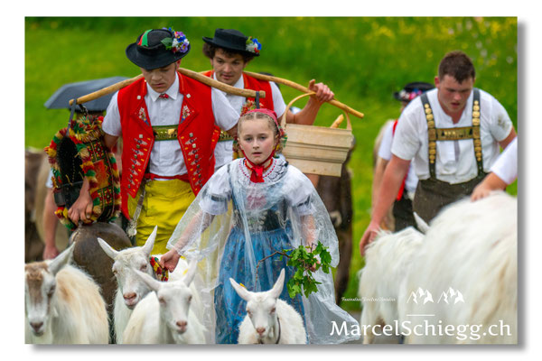 Marcel Schiegg Fotografie, Tradition, Brauchtum, Alpfahrt, Oeberefahre, Appenzell, Appenzellerland, Öberefahre