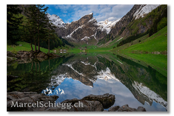 Seealpsee Art.-Nr. MS8-2102