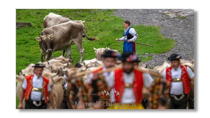 Marcel Schiegg Fotografie, Seealp, Alpstein, Tradition, Brauchtum, Alpfahrt, Oeberefahre, Appenzell