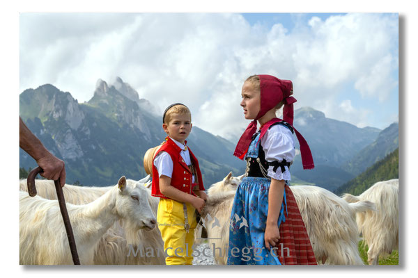 Marcel Schiegg Fotografie, Tradition, Brauchtum, Alpfahrt, Oeberefahre, Appenzell, Appenzellerland, Öberefahre, Alpstein