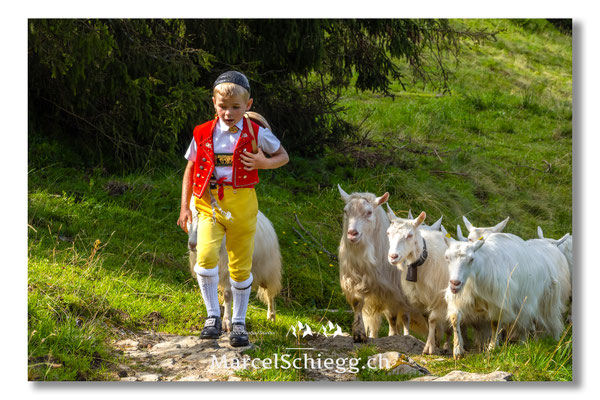 Marcel Schiegg Fotografie, Tradition, Brauchtum, Alpfahrt, Oeberefahre, Appenzell, Appenzellerland, Öberefahre, Alpstein