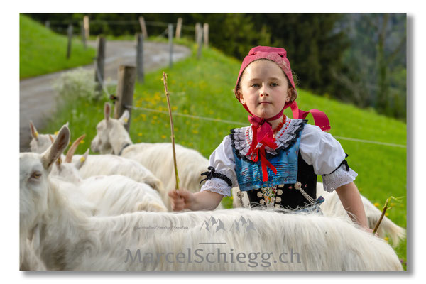 Marcel Schiegg Fotografie, Tradition, Brauchtum, Alpfahrt, Oeberefahre, Appenzell, Appenzellerland, Öberefahre, Alpstein