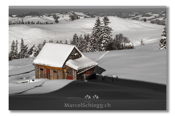 Alpstein/Winterimpressionen Art.-Nr. MS8-5288