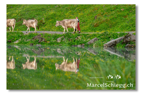 Marcel Schiegg Fotografie, Seealpsee, Alpstein, Tradition, Brauchtum, Alpfahrt, Oeberefahre, Appenzell