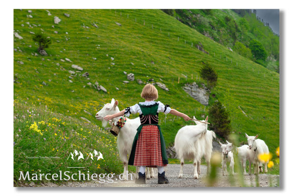 Marcel Schiegg Fotografie, Alpstein, Tradition, Brauchtum, Alpfahrt, Oeberefahre, Appenzell