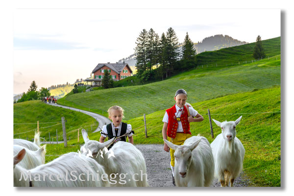 Marcel Schiegg Fotografie, Tradition, Brauchtum, Alpfahrt, Oeberefahre, Appenzell, Appenzellerland, Öberefahre, Alpstein, Berggasthaus Ruhesitz