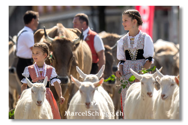 Marcel Schiegg Fotografie, Tradition, Brauchtum, Alpfahrt, Oeberefahre, Appenzell, Appenzellerland, Öberefahre, Alpstein
