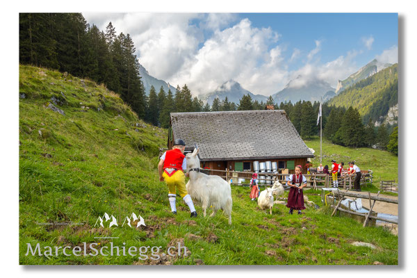 Marcel Schiegg Fotografie, Tradition, Brauchtum, Alpfahrt, Oeberefahre, Appenzell, Appenzellerland, Öberefahre, Alpstein, Alp Soll