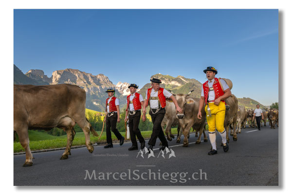 Marcel Schiegg Fotografie, Tradition, Brauchtum, Alpfahrt, Oeberefahre, Appenzell, Appenzellerland, Öberefahre, Alpstein