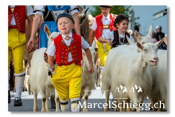 Marcel Schiegg Fotografie, Hauptgasse, Tradition, Brauchtum, Alpfahrt, Oeberefahre, Appenzell