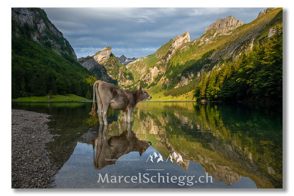 Seealpsee Art.-Nr. MS5-4328