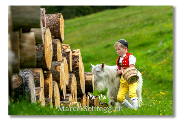 Marcel Schiegg Fotografie, Tradition, Brauchtum, Alpfahrt, Oeberefahre, Appenzell, Appenzellerland, Öberefahre, Alpstein