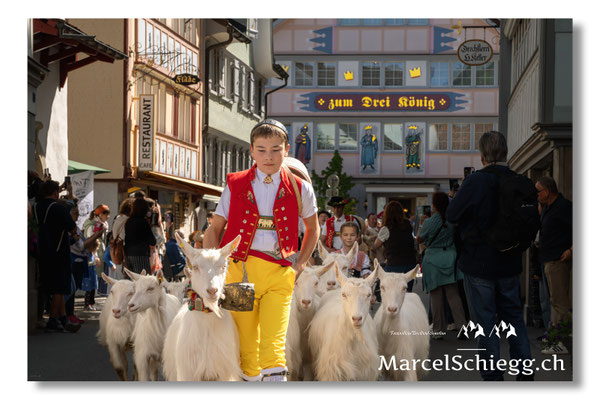 Marcel Schiegg Fotografie, Tradition, Brauchtum, Alpfahrt, Oeberefahre, Appenzell, Appenzellerland, Öberefahre, Drei König Appenzell