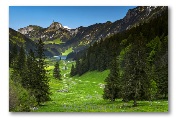 Plattenbödeli/Sämtisersee/Hoher Kasten Art.-Nr. MS5-2789-Mai