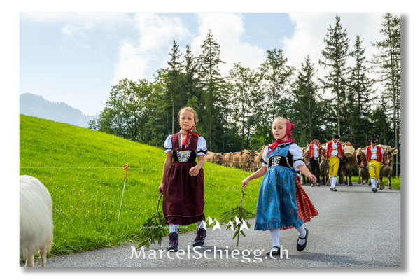 Marcel Schiegg Fotografie, Tradition, Brauchtum, Alpfahrt, Oeberefahre, Appenzell, Appenzellerland, Öberefahre, Alpstein