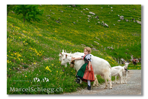 Marcel Schiegg Fotografie, Tradition, Brauchtum, Alpfahrt, Oeberefahre, Appenzell
