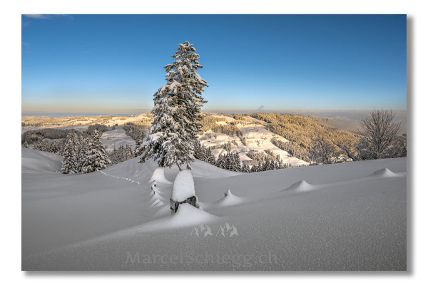 Appenzellerland/Winterimpressionen Art.-Nr. MZ7-5869