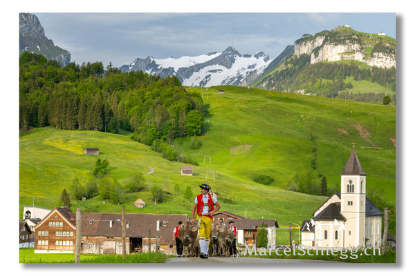 Marcel Schiegg Fotografie, Tradition, Brauchtum, Alpfahrt, Oeberefahre, Appenzell, Appenzellerland, Öberefahre