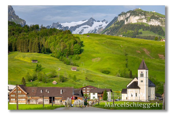 Marcel Schiegg Fotografie, Tradition, Brauchtum, Alpfahrt, Oeberefahre, Appenzell, Appenzellerland, Öberefahre, Brülisau