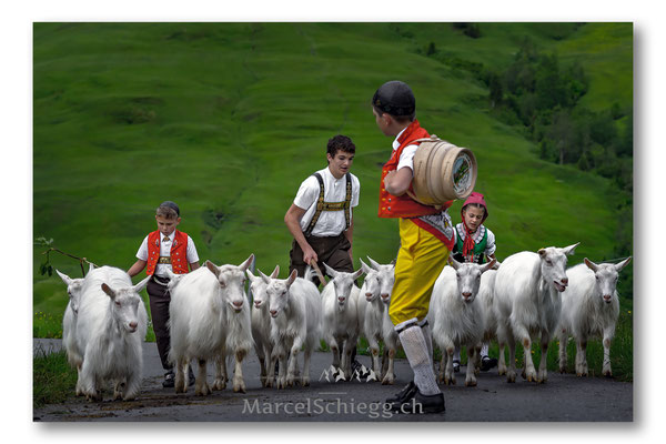 Öberefahre/Alpfahrt Art.-Nr. MS5-1237-Juni