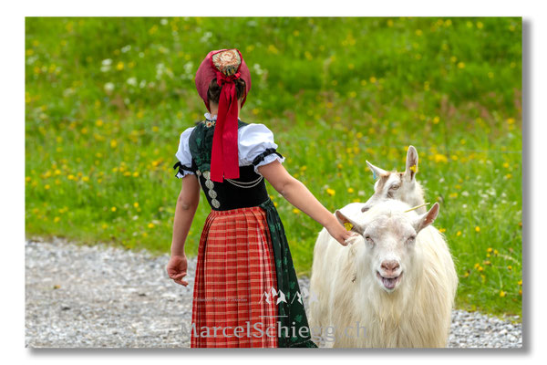 Marcel Schiegg Fotografie, Tradition, Brauchtum, Alpfahrt, Oeberefahre, Appenzell, Appenzellerland, Öberefahre, Alpstein