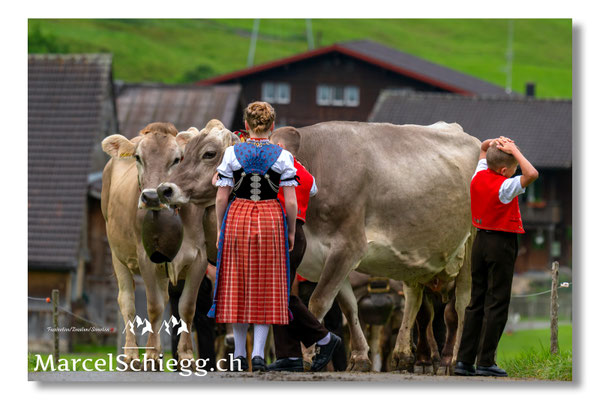 Marcel Schiegg Fotografie, Tradition, Brauchtum, Alpfahrt, Oeberefahre, Appenzell, Appenzellerland, Öberefahre