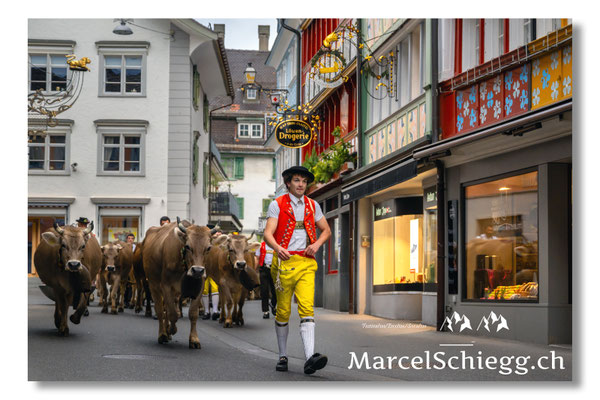 Marcel Schiegg Fotografie, Tradition, Brauchtum, Alpfahrt, Oeberefahre, Appenzell, Appenzellerland, Hauptgasse, Öberefahre