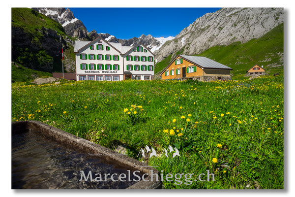 Meglisalp Art.-Nr. MZ7-8309