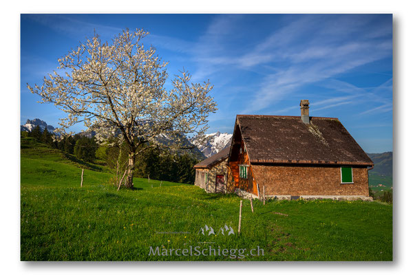Appenzellerland Art.-Nr. MS5-0303-April