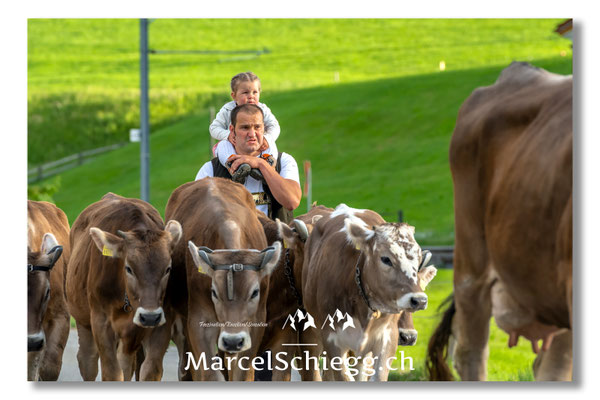 Öberefahre/Alpfahrt Art.-Nr. MS5-0808/16