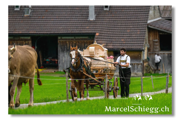 Marcel Schiegg Fotografie, Tradition, Brauchtum, Alpfahrt, Oeberefahre, Appenzell, Appenzellerland, Öberefahre, Lediwagen