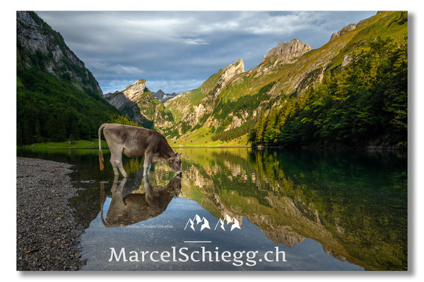 Seealpsee Art.-Nr. MS5-4318