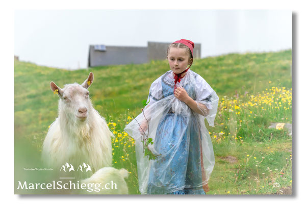 Marcel Schiegg Fotografie, Tradition, Brauchtum, Alpfahrt, Oeberefahre, Appenzell, Appenzellerland, Öberefahre, Alpstein