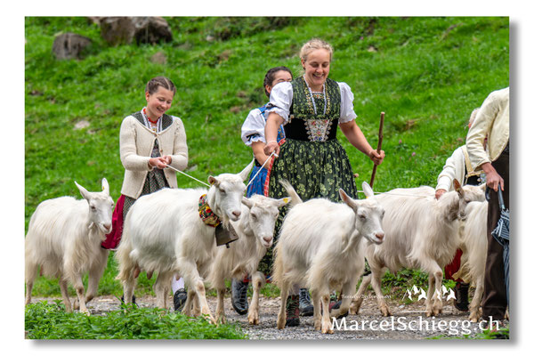 Marcel Schiegg Fotografie, Seealpsee, Alpstein, Tradition, Brauchtum, Alpfahrt, Oeberefahre, Appenzell