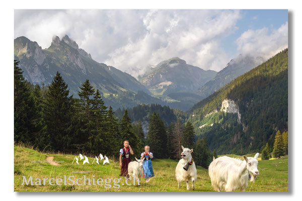 Marcel Schiegg Fotografie, Tradition, Brauchtum, Alpfahrt, Oeberefahre, Appenzell, Appenzellerland, Öberefahre, Alpstein