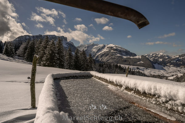 Alpstein/Winterimpressionen Art.-Nr. MZ7-6064-Februar