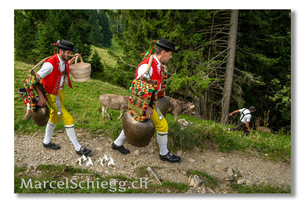 Marcel Schiegg Fotografie, Tradition, Brauchtum, Alpfahrt, Oeberefahre, Appenzell, Appenzellerland, Öberefahre, Alpstein
