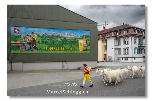 Marcel Schiegg Fotografie, Appenzeller Bier, Tradition, Brauchtum, Alpfahrt, Oeberefahre, Appenzell