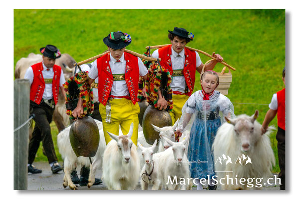 Marcel Schiegg Fotografie, Tradition, Brauchtum, Alpfahrt, Oeberefahre, Appenzell, Appenzellerland, Öberefahre