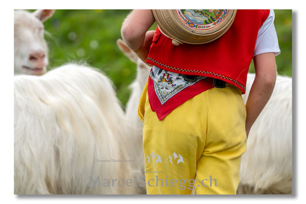Marcel Schiegg Fotografie, Tradition, Brauchtum, Alpfahrt, Oeberefahre, Appenzell, Appenzellerland, Öberefahre, Alpstein